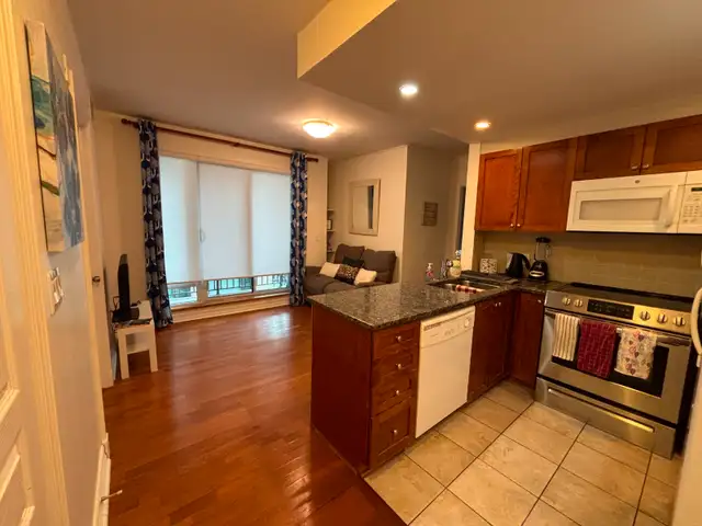 Room in Condo for Female Student - Photo 6