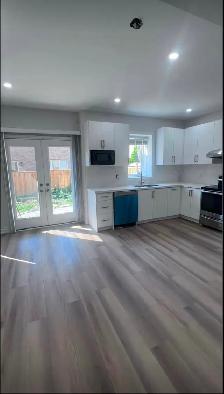 Beautiful Basement Apartment For Rent at Green Lane/Leslie - Photo 3