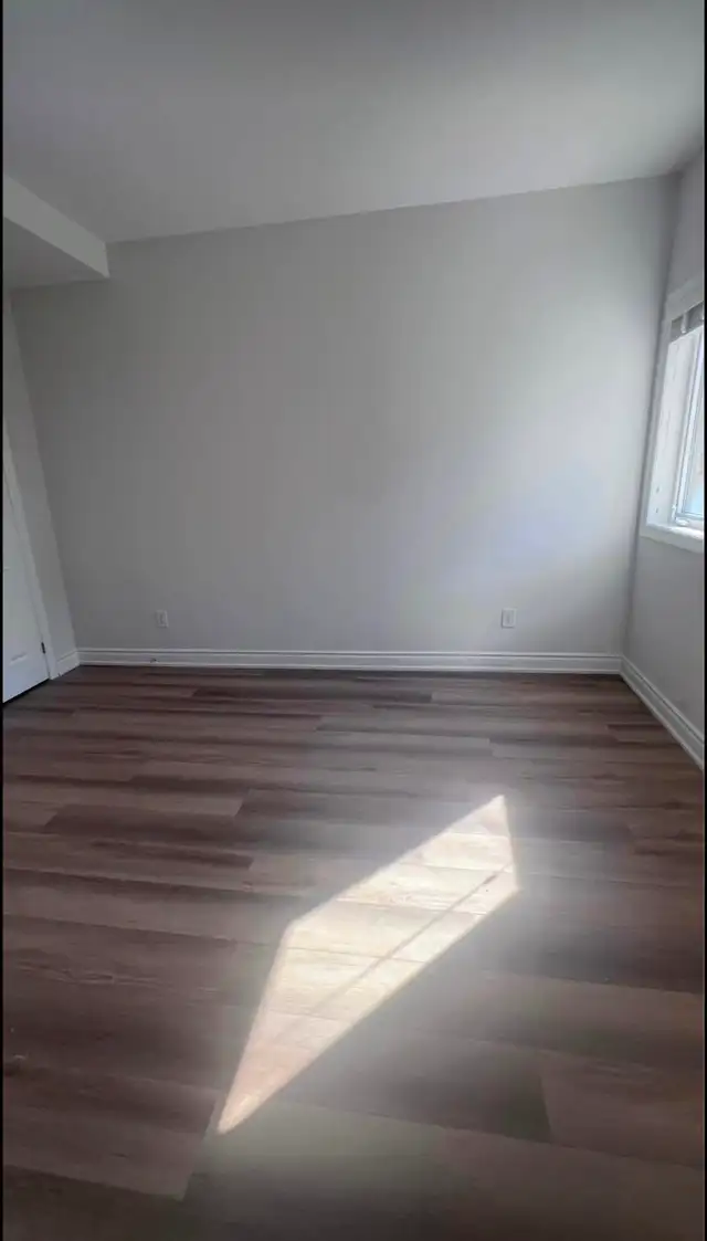 Beautiful Basement Apartment For Rent at Green Lane/Leslie - Photo 5