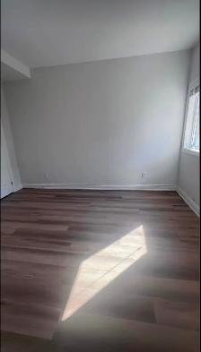 Beautiful Basement Apartment For Rent at Green Lane/Leslie - Photo 5