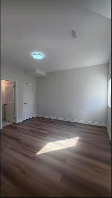 Beautiful Basement Apartment For Rent at Green Lane/Leslie - Photo 6