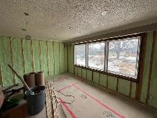 Home Insulation Rebate - Photo 4
