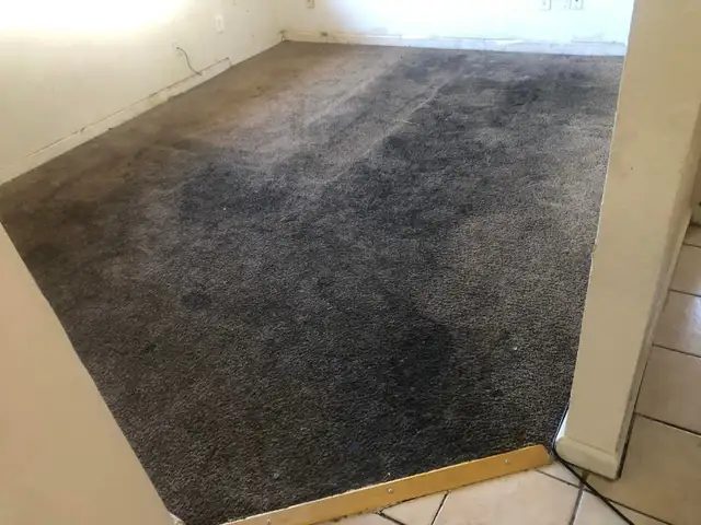 Rug And Sofa Cleaning In GTA - Photo 2