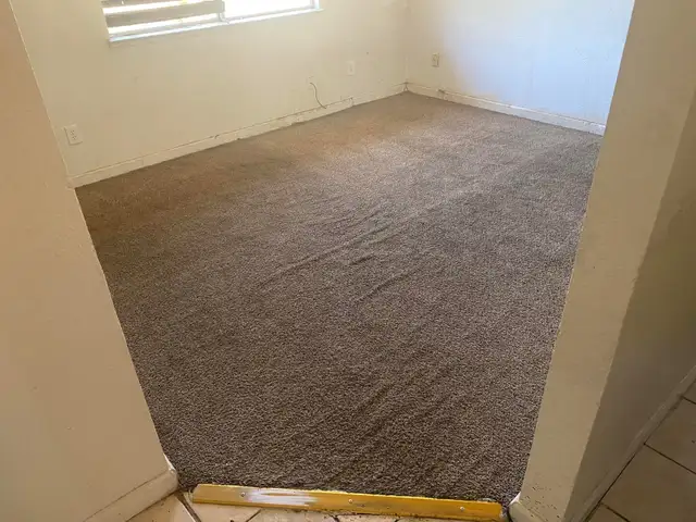 Rug And Sofa Cleaning In GTA - Photo 3