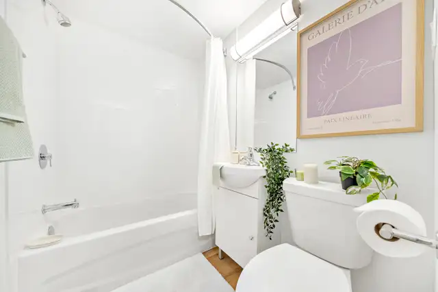Newly Renovated 1-Bedroom Suites at 232 Elm Street - Photo 4