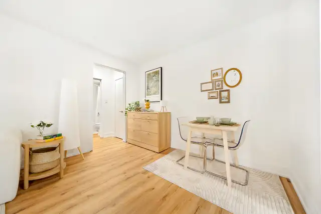 Newly Renovated 1-Bedroom Suites at 232 Elm Street - Photo 6