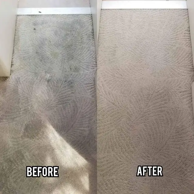 Sofa And Rug Cleaning In GTA - Photo 4
