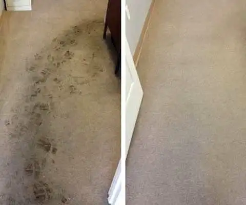 Sofa And Rug Cleaning In GTA - Photo 6