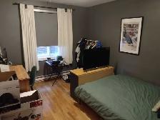 4 1/2 near Park Jarry - Photo 8