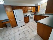 LARGE 2 BEDROOM BASEMENT RENTAL