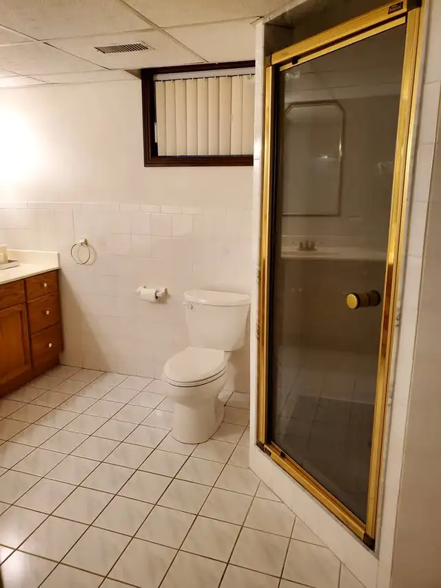 LARGE 2 BEDROOM BASEMENT RENTAL - Photo 6