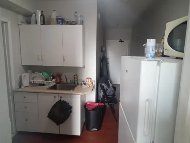 Bachelor Apartment in Downtown