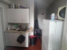 Bachelor Apartment in Downtown