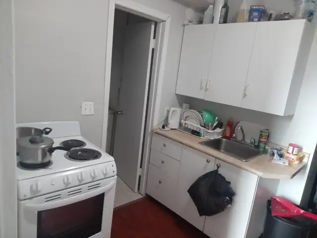 Bachelor Apartment in Downtown - Photo 3