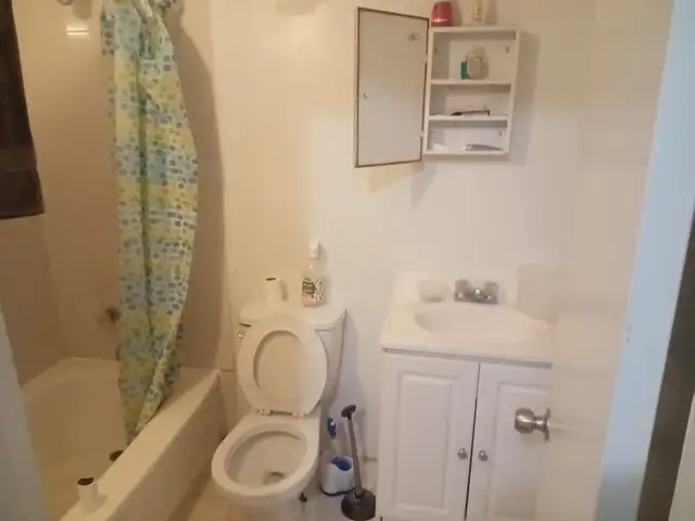 Bachelor Apartment in Downtown - Photo 5