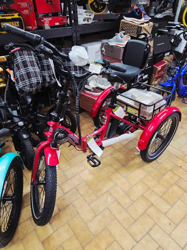 Tricycle Électrique