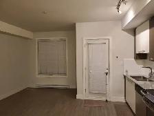 1 bdrm condo for rent (Surrey Fleetwood) $1,800