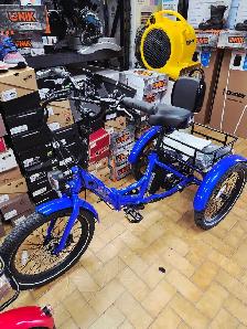 Vélo Tricycle Électrique