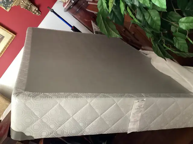 Double mattress and match box spring out of spare room $300 obo - Photo 4