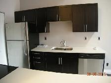1 Bedroom Plus Den - In The HUB Near Queens&KHSC