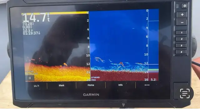 Formation de sonar   sorties de pêche - Photo 2