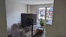 Professional painter 365-889-3738 - Photo 5