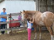 Pasture Board - where horses come first! - Photo 6