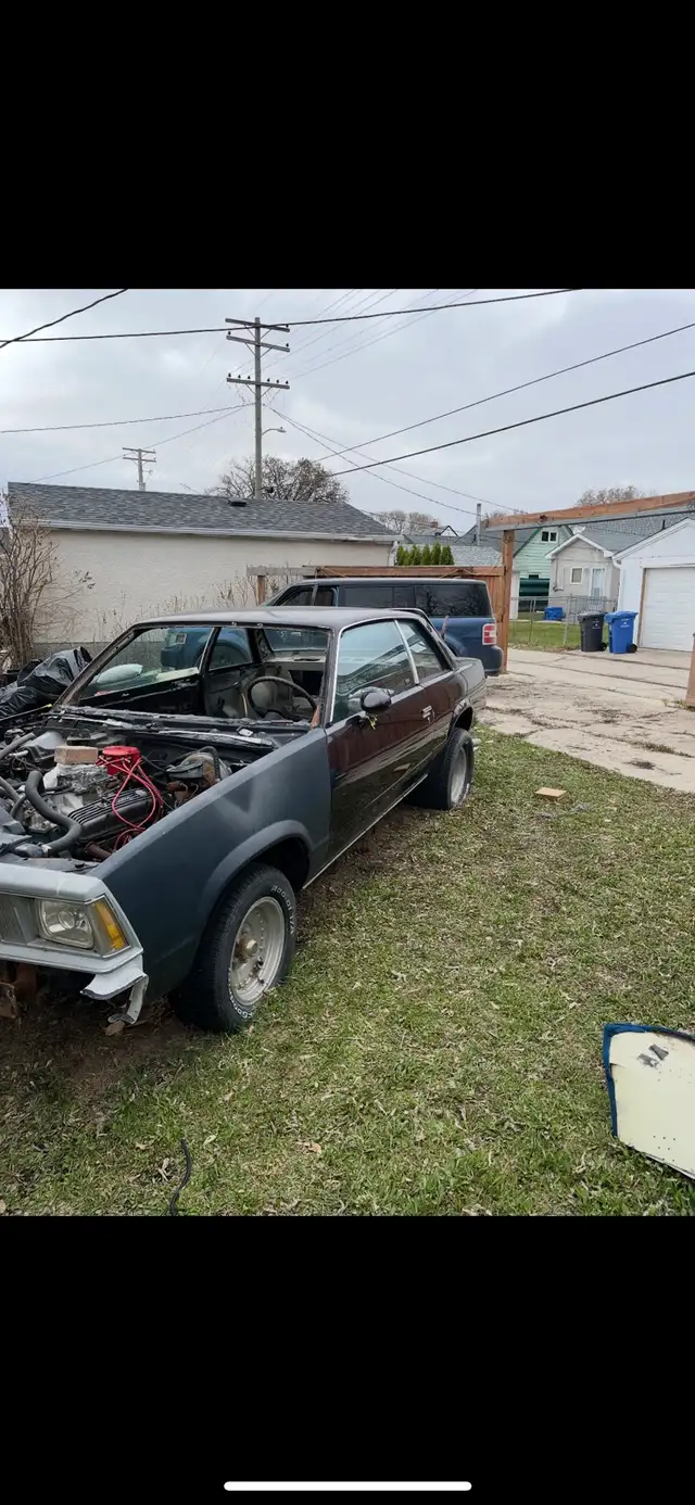 1979 Malibu parts car - Photo 2