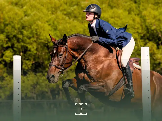 English Riding Lessons | Brooks