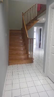 3 bedroom house for rent from June 1