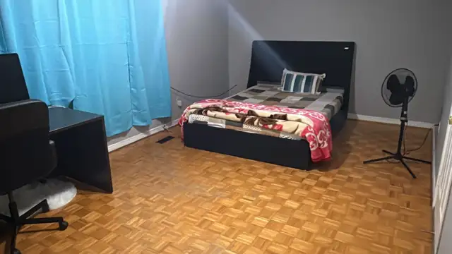 3 bedroom house for rent from June 1 - Photo 3
