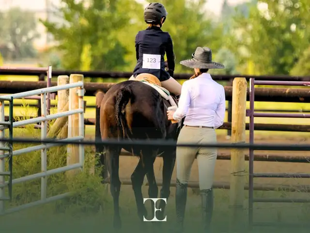 English Riding Lessons | Swift Current & Area - Photo 5