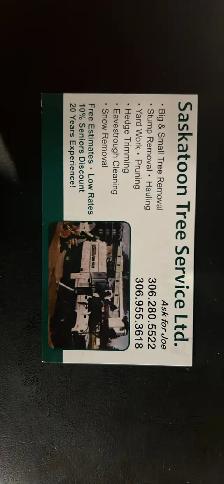 Saskatoon Tree Services LTD.