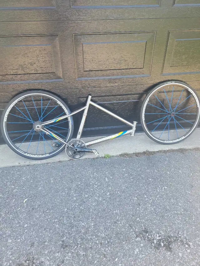 Quintana Roo titanium frame plus Synergy wheels