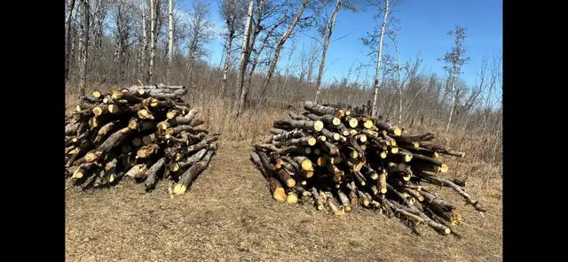 Firewood logs for sale