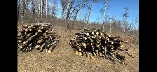Firewood logs for sale