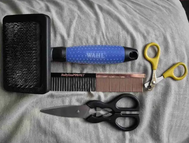 pet grooming supplies