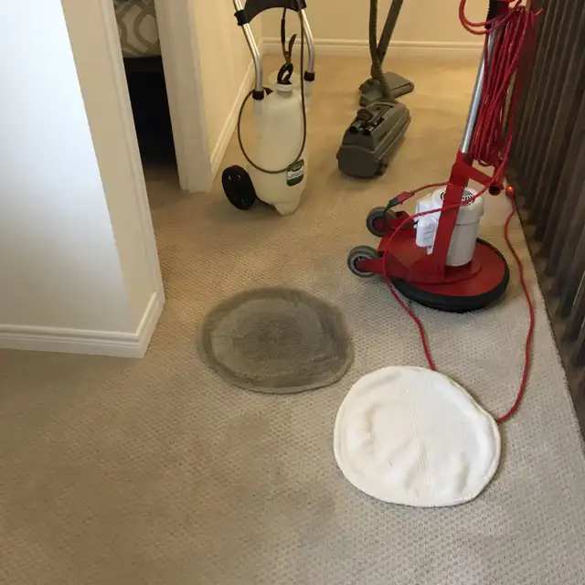 Rug Ang Carpet Cleaning In Toronto