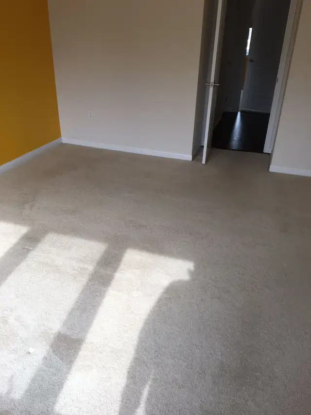 Rug Ang Carpet Cleaning In Toronto - Photo 2