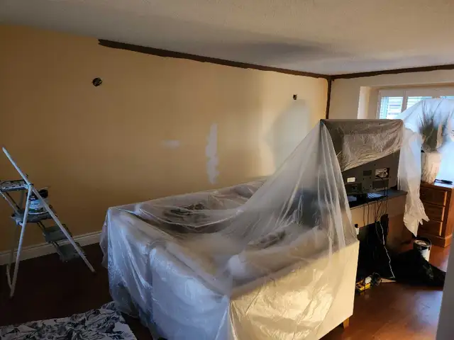 professional painting service - Photo 7