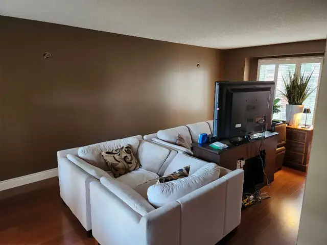 professional painting service - Photo 8