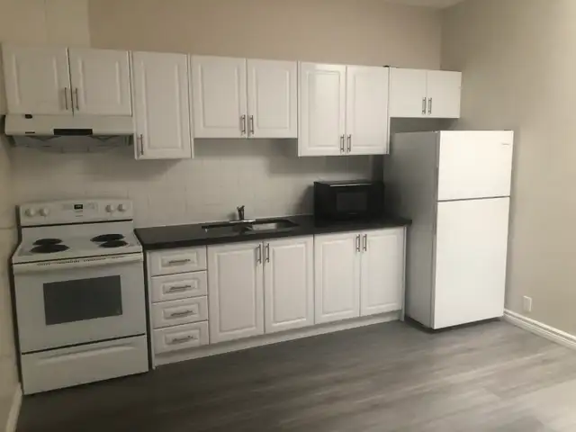 Like New 3 bedrooms apt for rent Spadina Ave & College St.