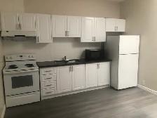 Like New 3 bedrooms apt for rent Spadina Ave & College St.