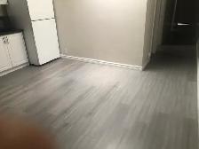 Like New 3 bedrooms apt for rent Spadina Ave & College St. - Photo 2