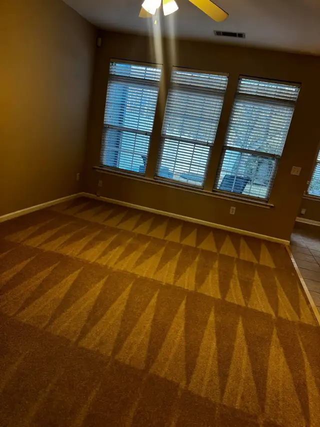 carpet and upholstery steam cleaning