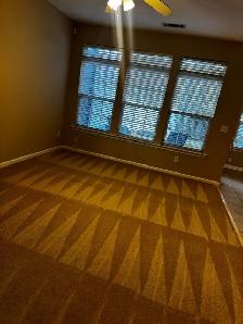 carpet and upholstery steam cleaning
