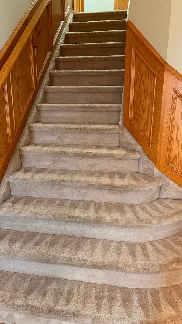 carpet and upholstery steam cleaning - Photo 2