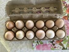 Farm Fresh Eggs