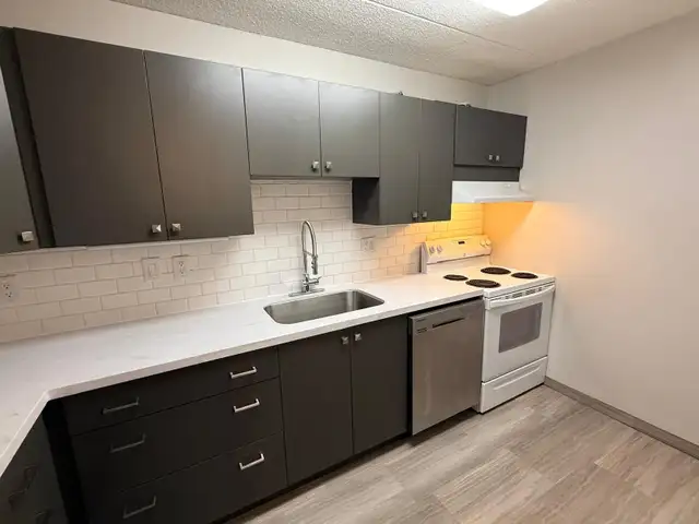 Quiet 2BR in River Heights / Tuxedo Facing Green Space - Photo 5