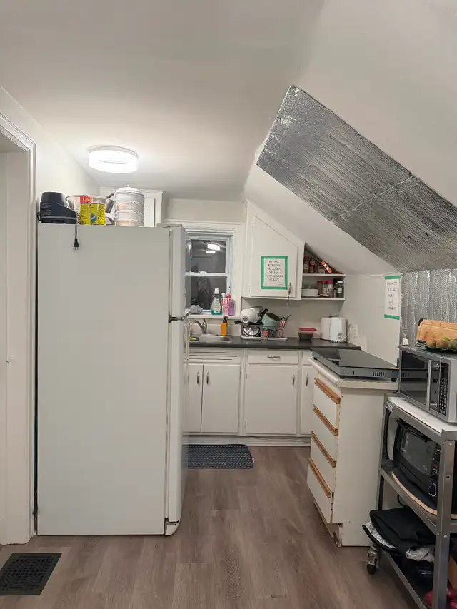 ROOM FOR RENT - NEAR LAKEHEAD UNIVERSITY!! - Photo 4